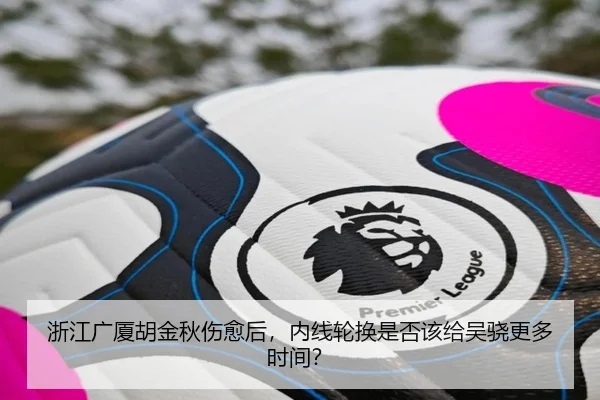 浙江广厦胡金秋伤愈后，内线轮换是否该给吴骁更多时间？